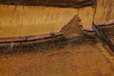 Polished Packsaddle Tiger Eye Slab - Western Australia #216768-1